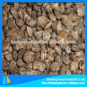 polybag packed frozen short necked clam